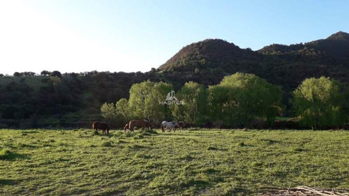 Imagen 10 de 30 de Agrícola En Venta En Teno