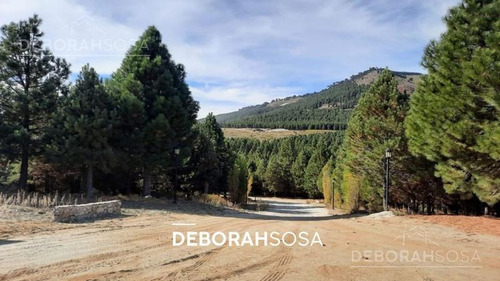Imagen 23 de 29 de Oportunidad Solo Por 30 Dias! Espléndido Terreno En Altos De Pehuenia