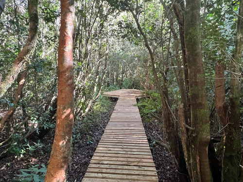 Imagen 2 de 17 de Excelentes Parcelas, Valdivia (cayumapu).