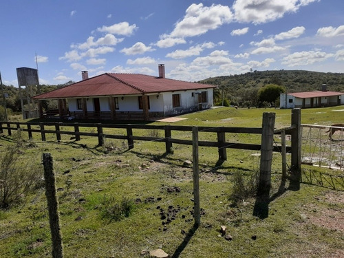 Campo Financiado