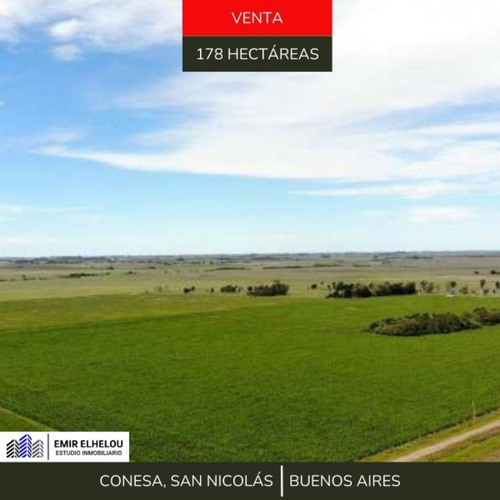 Campo De 89 Has Agricolas En Conesa, San Nicolas