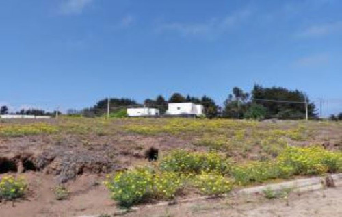 Industrial En Venta En Puchuncaví
