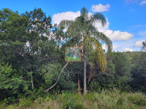Imagen 6 de 23 de Campo Turístico 38 Hás En Zanja Del Tigre