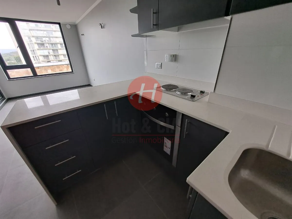 Imagen 4 de 7 de Departamento En Arriendo En Temuco