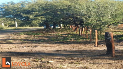 Imagen 6 de 8 de Gran Lote De 1500 Mts Con Forestacion Autoctona!!