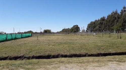 Terreno En Venta - 19 X 35mts - 665mts2 - Villa Elvira, La Plata