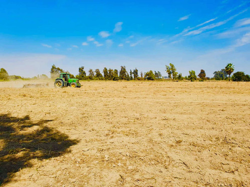 Imagen 7 de 11 de Terreno Agrícola En Pisco - San Clemente Ocasión De Venta