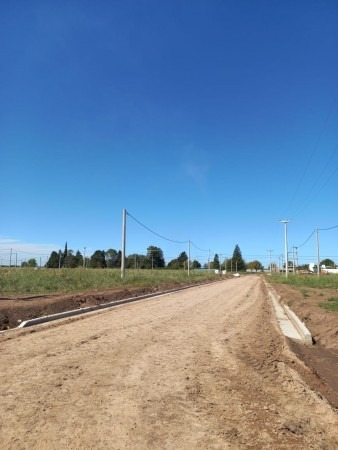 Imagen 11 de 14 de Terreno En Alvarez