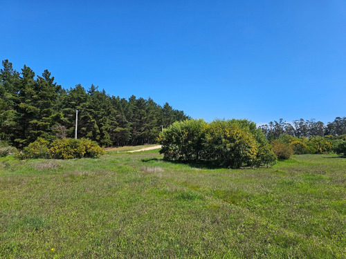 Hacienda Algarrobo, 5000 M2,portería, Rol, Red De Luz Y Agua