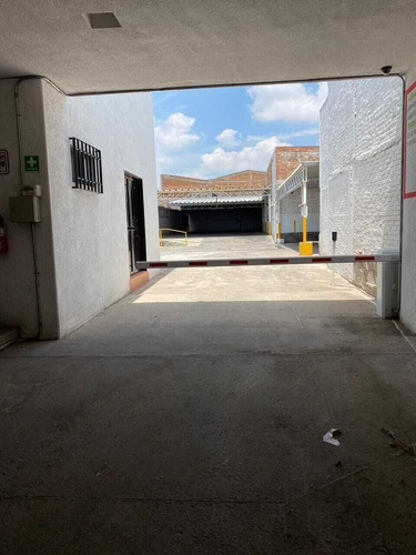Bodega En Renta En Constitucion, S.l.p.