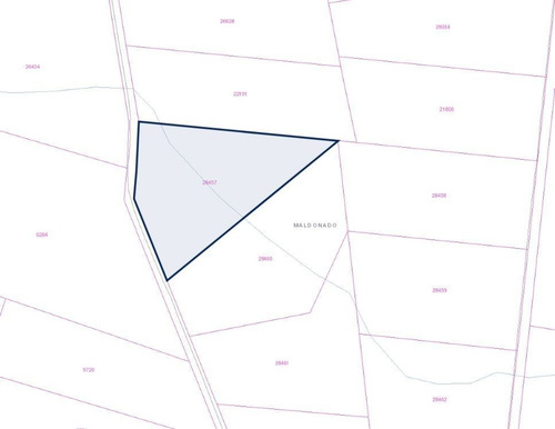 Quinta En Venta En Maldonado