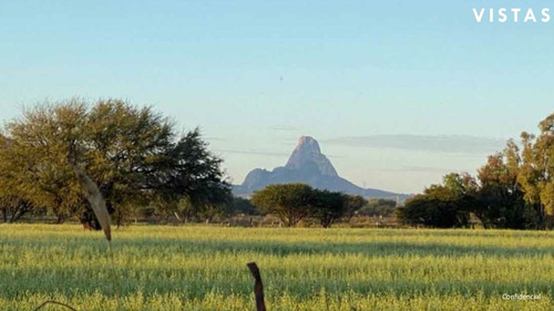 Venta De Terrenos Con Corredor Vinícola En Bernal