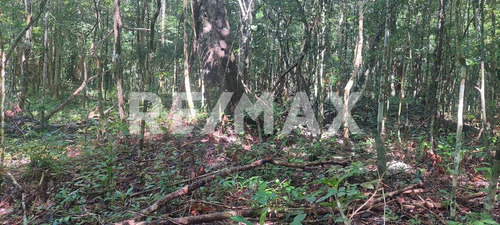 En Venta Amplio Terreno Ejidal Ubicado En Muyil, Tulum.