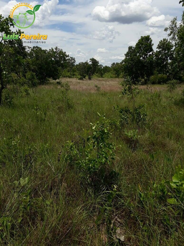 Imagem 7 de 15 de Fazenda À Venda Em São Valério - To - De 624 Hectares (dupla Aptidão) - 1777