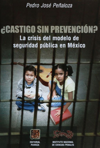 Castigo Sin Prevención. La Crisis Del Modelo De Seguridad P