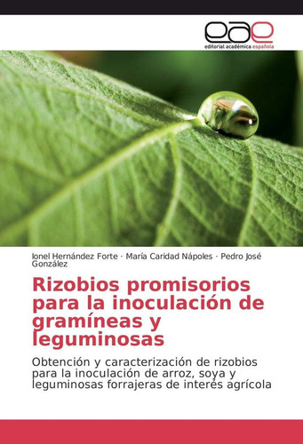 Libro: Rizobios Promisorios Para La Inoculación De Gramíneas