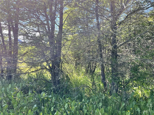 Parcela En Venta En Coihaique