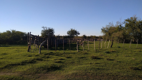 Imagen 5 de 9 de Venta Campo - Zona Talita - Concepcion Del Uruguay