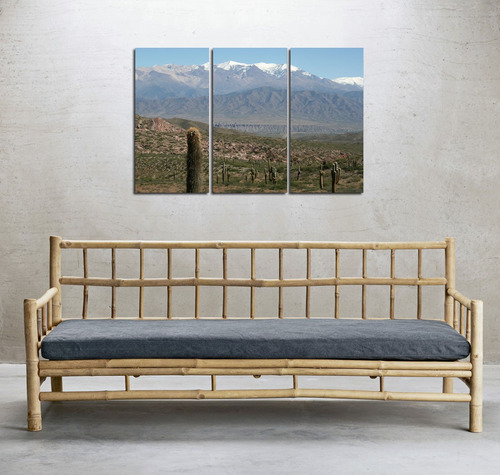 Cuadro 60x90cm Montaña Nevado Cachi Salta Cardon