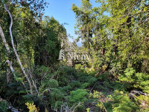 Sitio De 99 Has En Venta En Corral, A 30 Min De Valdivia