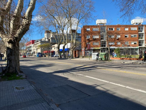 5 Apartamentos A Estrenar - Renta 4.5%
