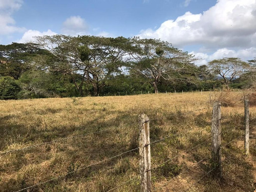 Imagen 8 de 16 de Finca En Falcon En Venta.lf