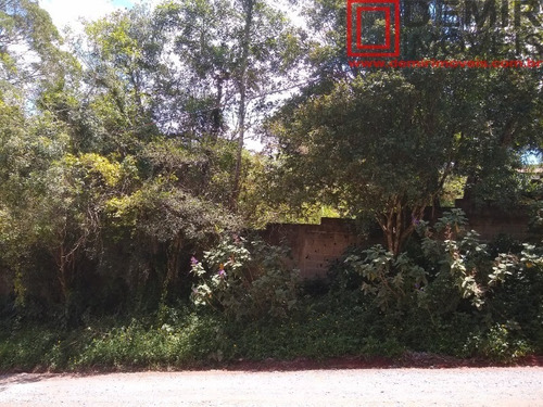 Imagem 10 de 12 de Terreno - Te00008 - 69258914