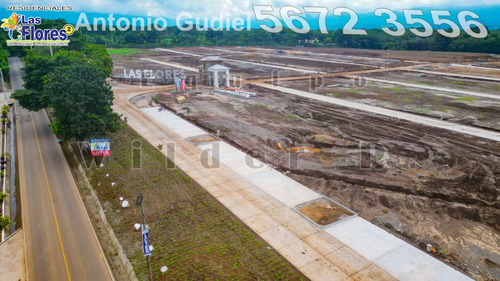 En Venta Lotes 8x16 En Residenciales Las Flores 2