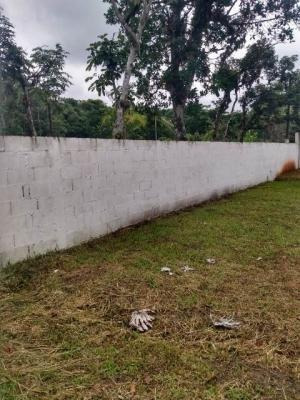 Chácara Com Pomar E Lago Para Peixes Em Itanhaém - 7681 Npc