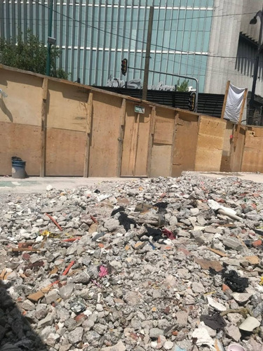 Imagen 7 de 9 de Terreno Reforma Insurgentes