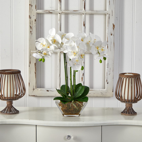 Orquídea Triple Phalaenopsis En Jarrón De Cristal Verde Blan