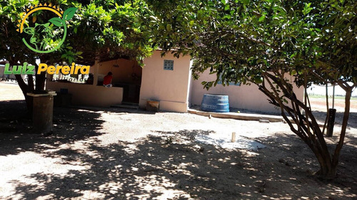 Imagem 13 de 15 de Fazenda À Venda Em Divinópolis - To - De 1.476 Hectares - 1747