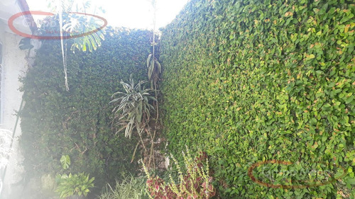 Imagen 14 de 24 de Casa Estilo Colonial 3amb/jardin/patio