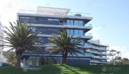 3 Suite Y Dependencia Con Parrillero Propio