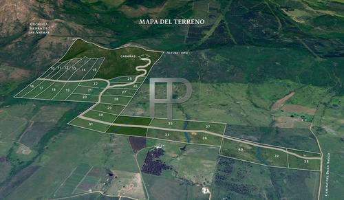 Imagen 1 de 1 de Campo En Venta Nueva Carrara 5 Hectáreas