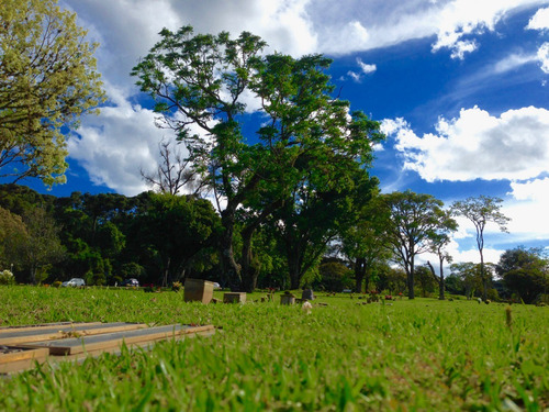 Imagem 7 de 14 de Jazigo - Cemitério Parque Iguaçú