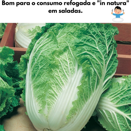 2x Sementes De Couve Chinesa Kyoto Horta Muda Alta Qualidade