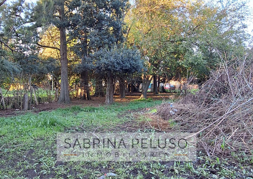 Venta Terreno Francisco Alvarez