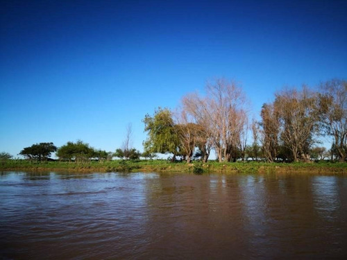 Imagen 21 de 29 de Campo De Isla Ganadero, 2.000 Has Sobre El Paranacito