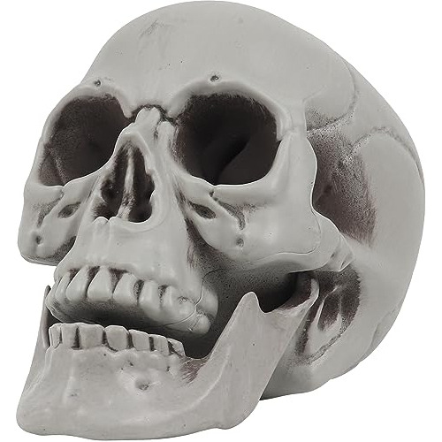 Esqueleto De Tamaño Halloween, Modelo De Cráneo 1