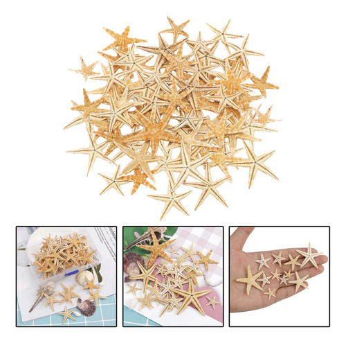 Decoración De Estrella De Mar Natural Para 1-5cm 100 Piezas
