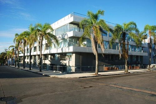 Imagen 2 de 26 de Departamento - Montevideo