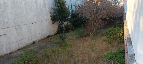 Imagen 10 de 10 de Lote En Mar De Ajo