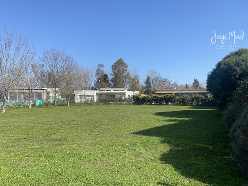 Lote Interno #300-400 - San Matias - Area 2 - 1003m2 #id 12844