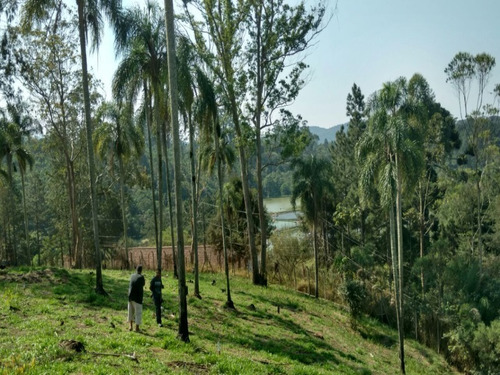 Imagem 11 de 16 de Terreno A Venda No Itaquaciara/mombaça - Te00009 - 32420434