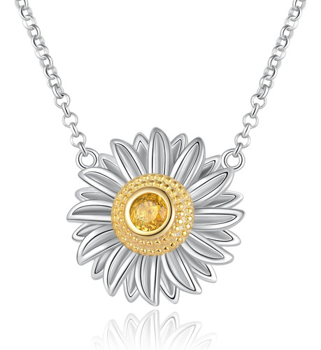 Jxjl Collar De Urna De Girasol De Cremación Conmemorativa De