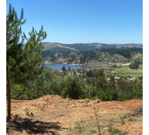 C36317- Venta Sitio Lago Vichuquen-huiñe-156.250 Ha