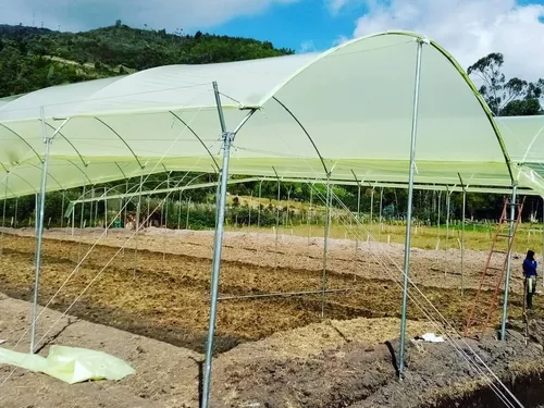 Plástico Para Invernadero X 6mts Ancho X 10 Mts Largo