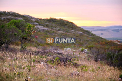 Imagen 7 de 13 de El Cerro