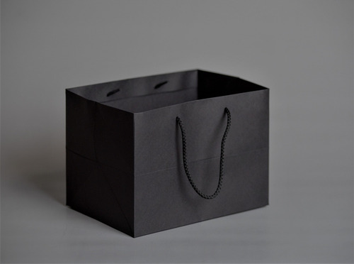 Bolsa Clásica Premium Negra C/cordón 18x25x18cm (x50u) 124n
